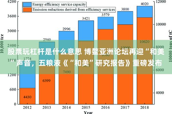 股票玩杠杆是什么意思 博鳌亚洲论坛再迎“和美”声音，五粮