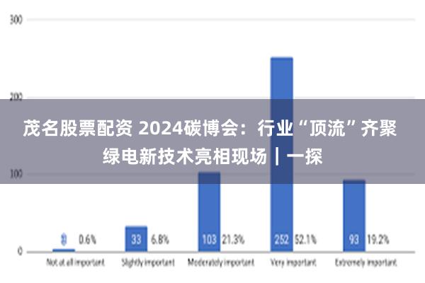 茂名股票配资 2024碳博会：行业“顶流”齐聚 绿电新技术亮相现场｜一探