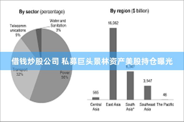 借钱炒股公司 私募巨头景林资产美股持仓曝光