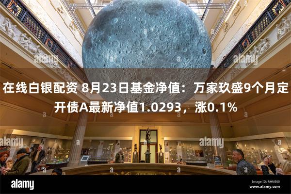 在线白银配资 8月23日基金净值：万家玖盛9个月定开债A最新净值1.0293，涨0.1%