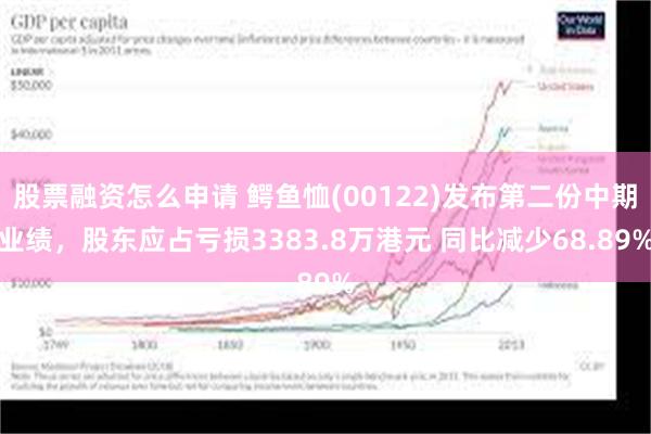 股票融资怎么申请 鳄鱼恤(00122)发布第二份中期业绩，股东应占亏损3383.8万港元 同比减少68.89%