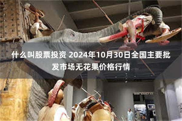 什么叫股票投资 2024年10月30日全国主要批发市场无