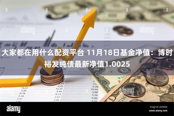 大家都在用什么配资平台 11月18日基金净值：博时裕发纯债最新净值1.0025