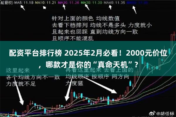 配资平台排行榜 2025年2月必看！2000元价位，哪款才是你的“真命天机”？