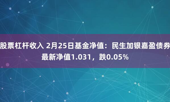 股票杠杆收入 2月25日基金净值：民生加银嘉盈债券最新净值1.031，跌0.05%