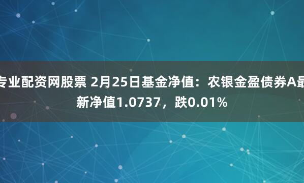 专业配资网股票 2月25日基金净值：农银金盈债券A最新净值1.0737，跌0.01%