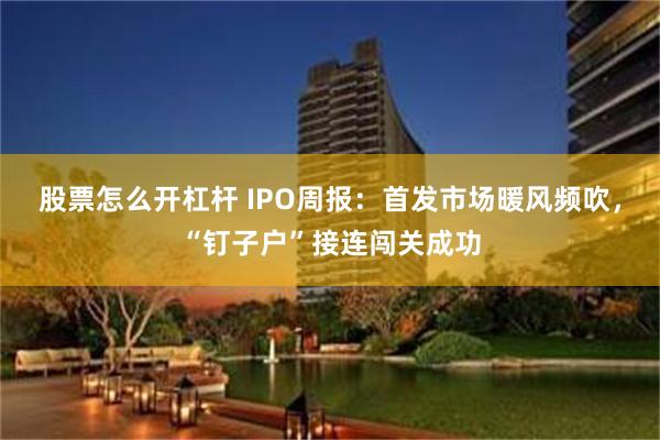 股票怎么开杠杆 IPO周报：首发市场暖风频吹，“钉子户”接连闯关成功